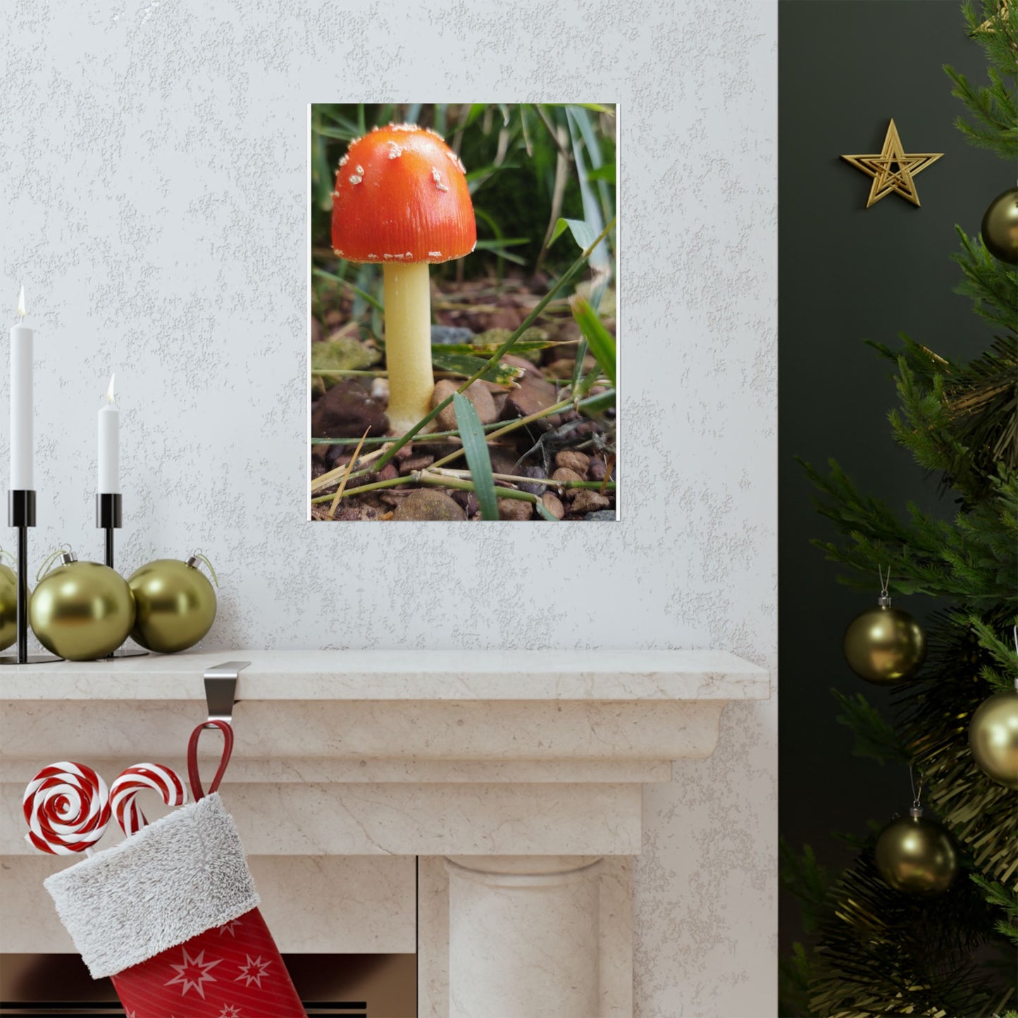 Amanita Muscaria (Fly Agaric) Poster