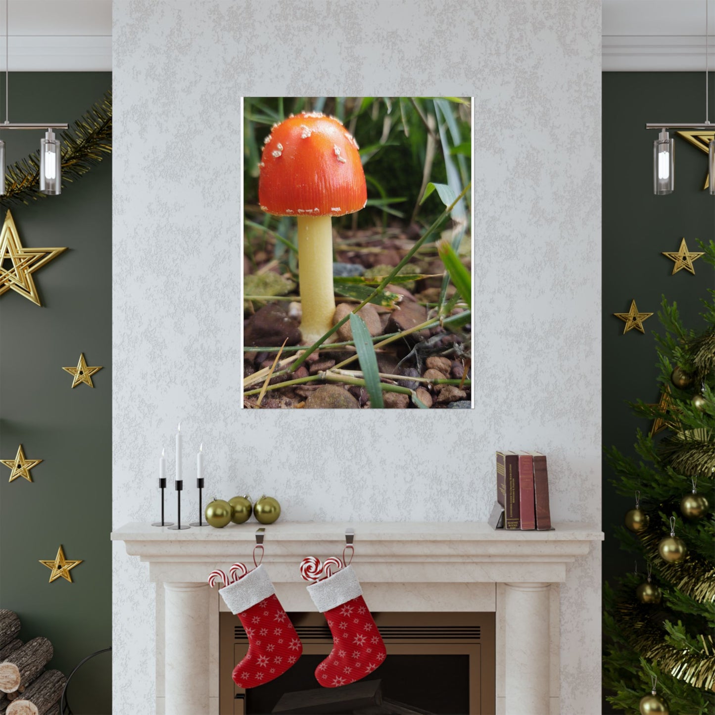 Amanita Muscaria (Fly Agaric) Poster