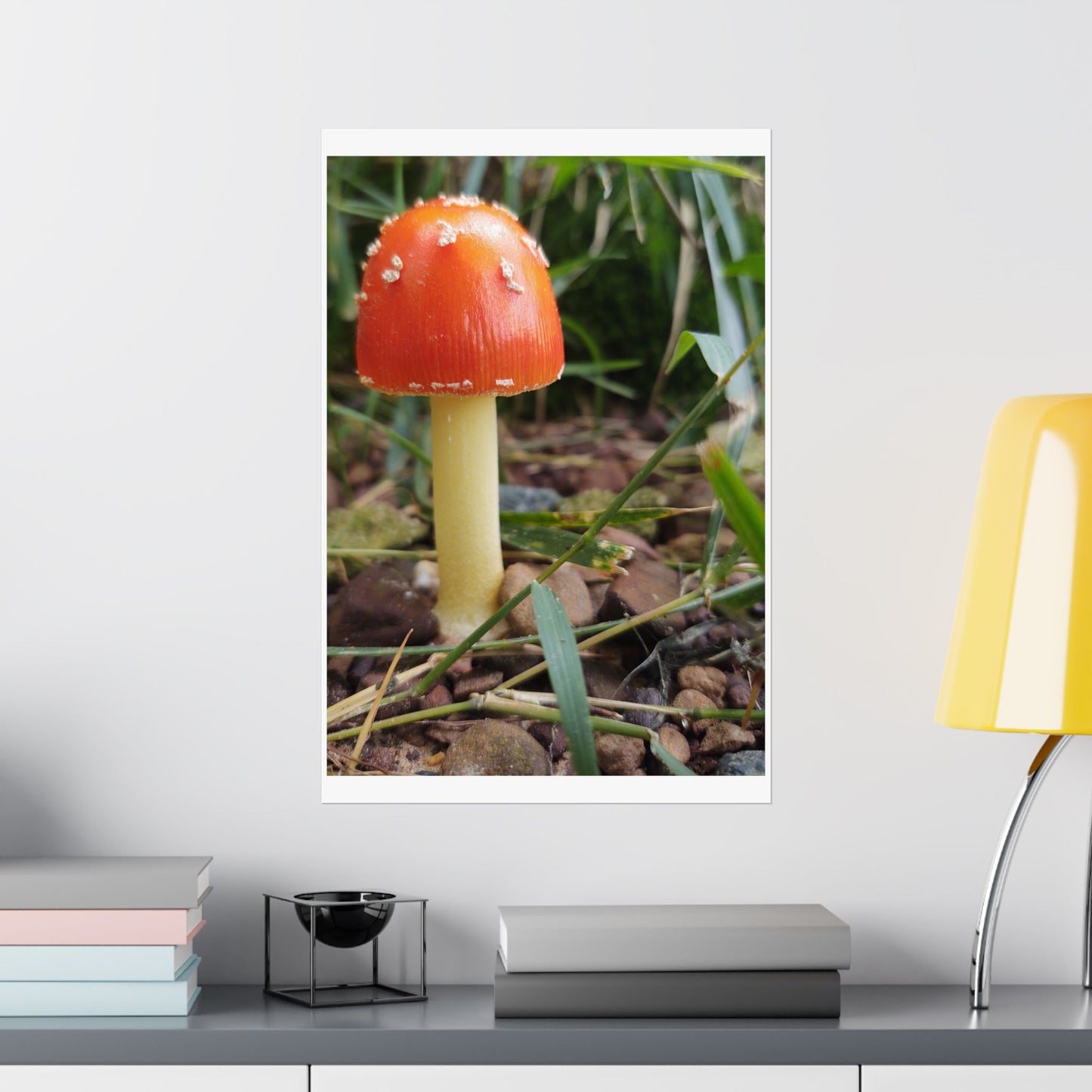 Amanita Muscaria (Fly Agaric) Poster