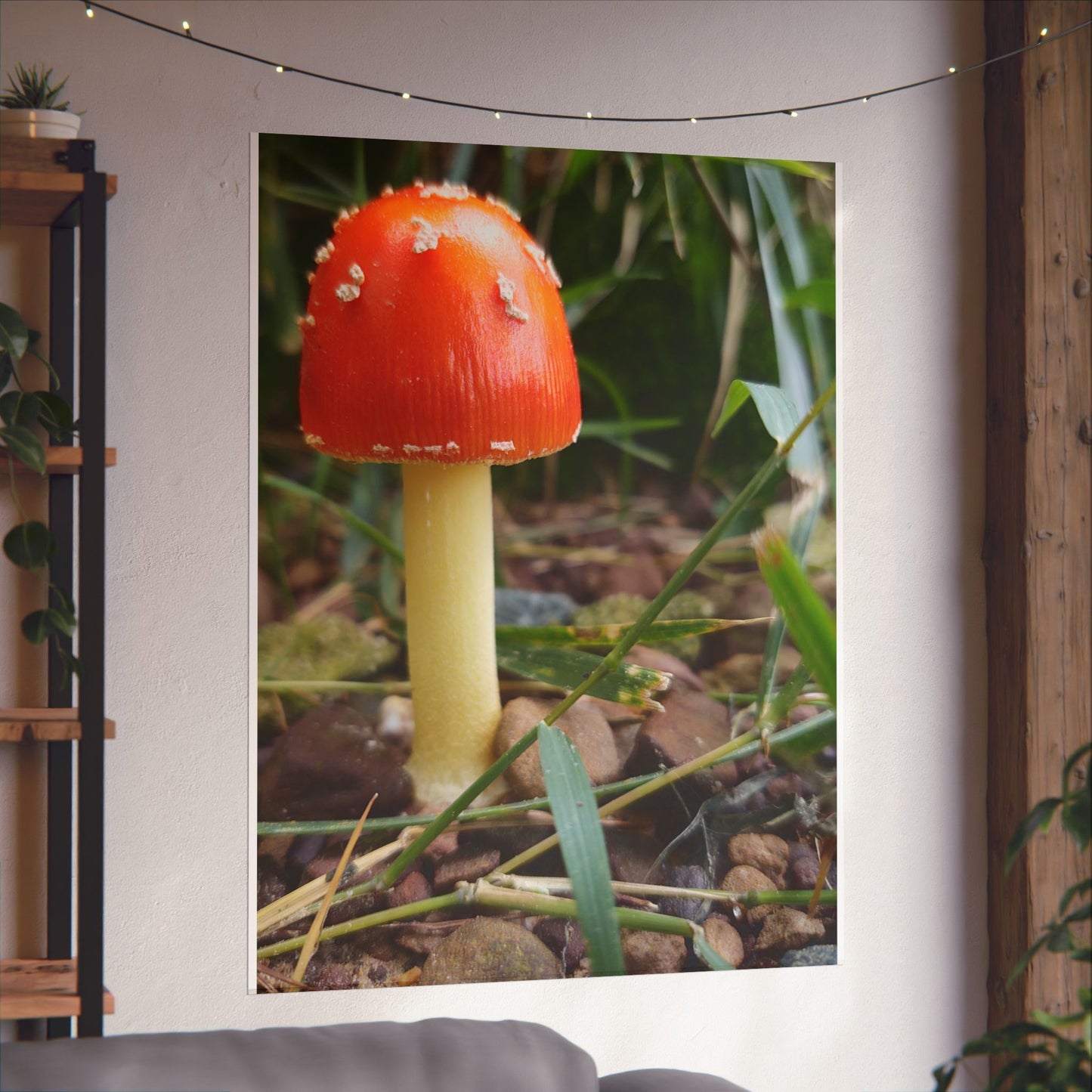 Amanita Muscaria (Fly Agaric) Poster