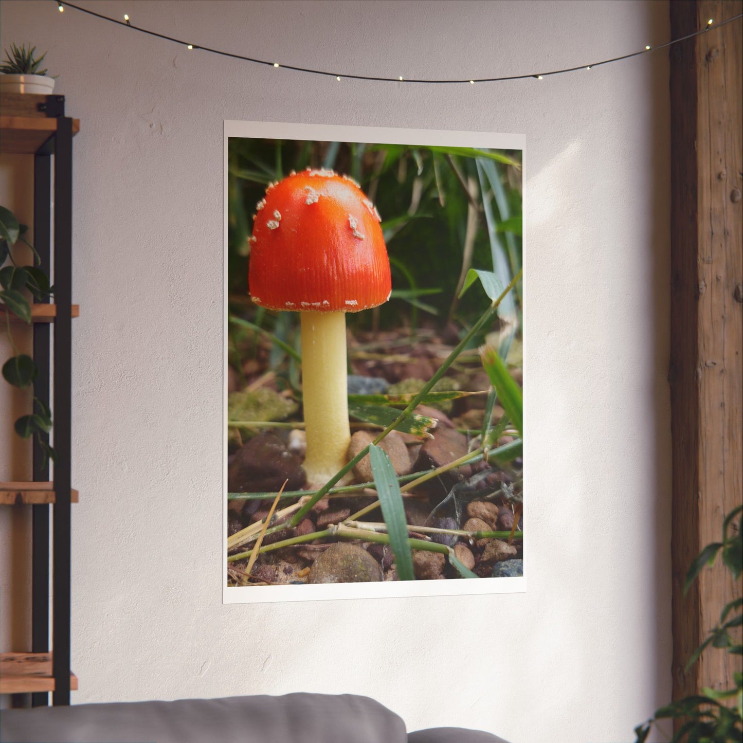 Amanita Muscaria (Fly Agaric) Poster