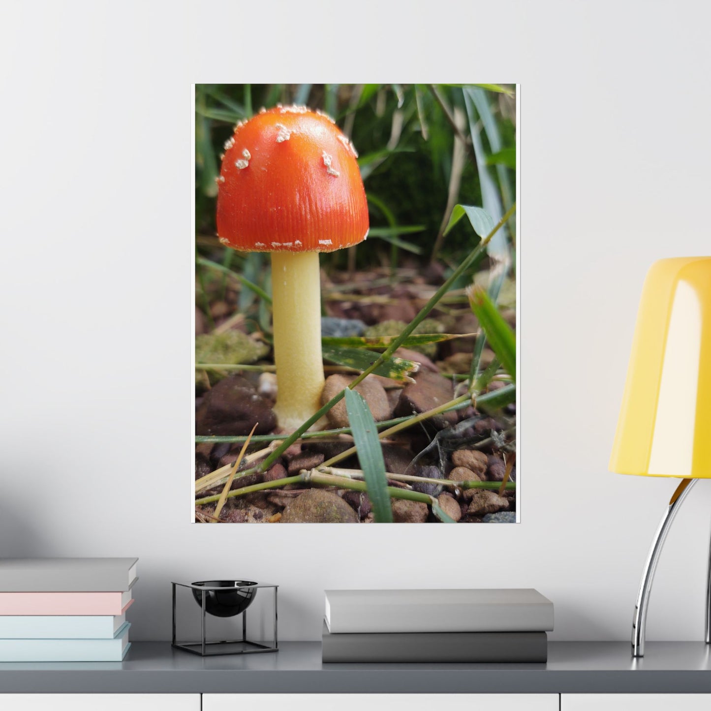 Amanita Muscaria (Fly Agaric) Poster