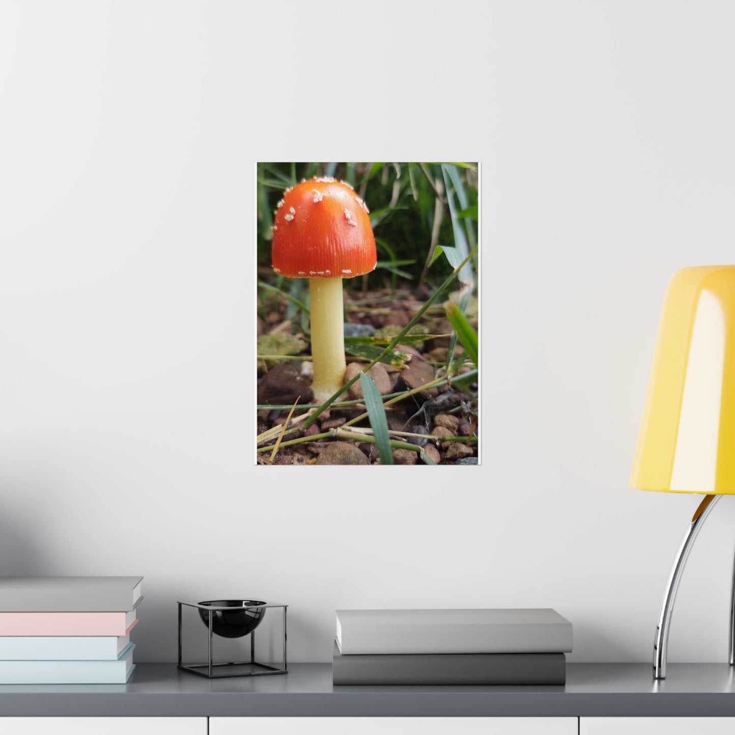 Amanita Muscaria (Fly Agaric) Poster