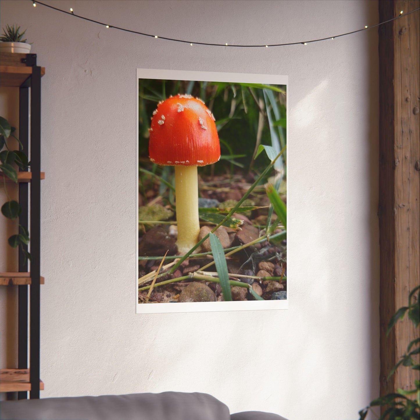 Amanita Muscaria (Fly Agaric) Poster