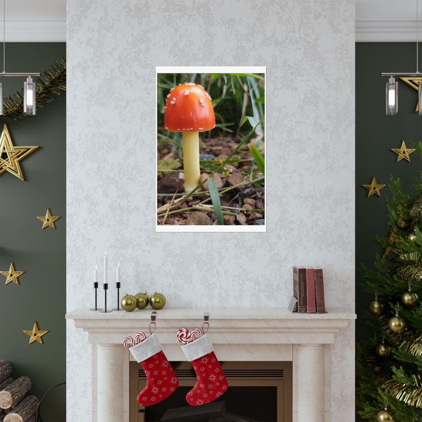 Amanita Muscaria (Fly Agaric) Poster