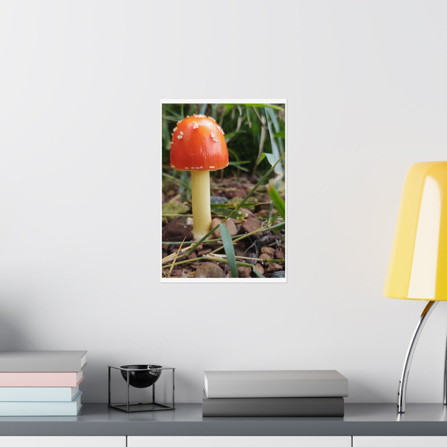 Amanita Muscaria (Fly Agaric) Poster