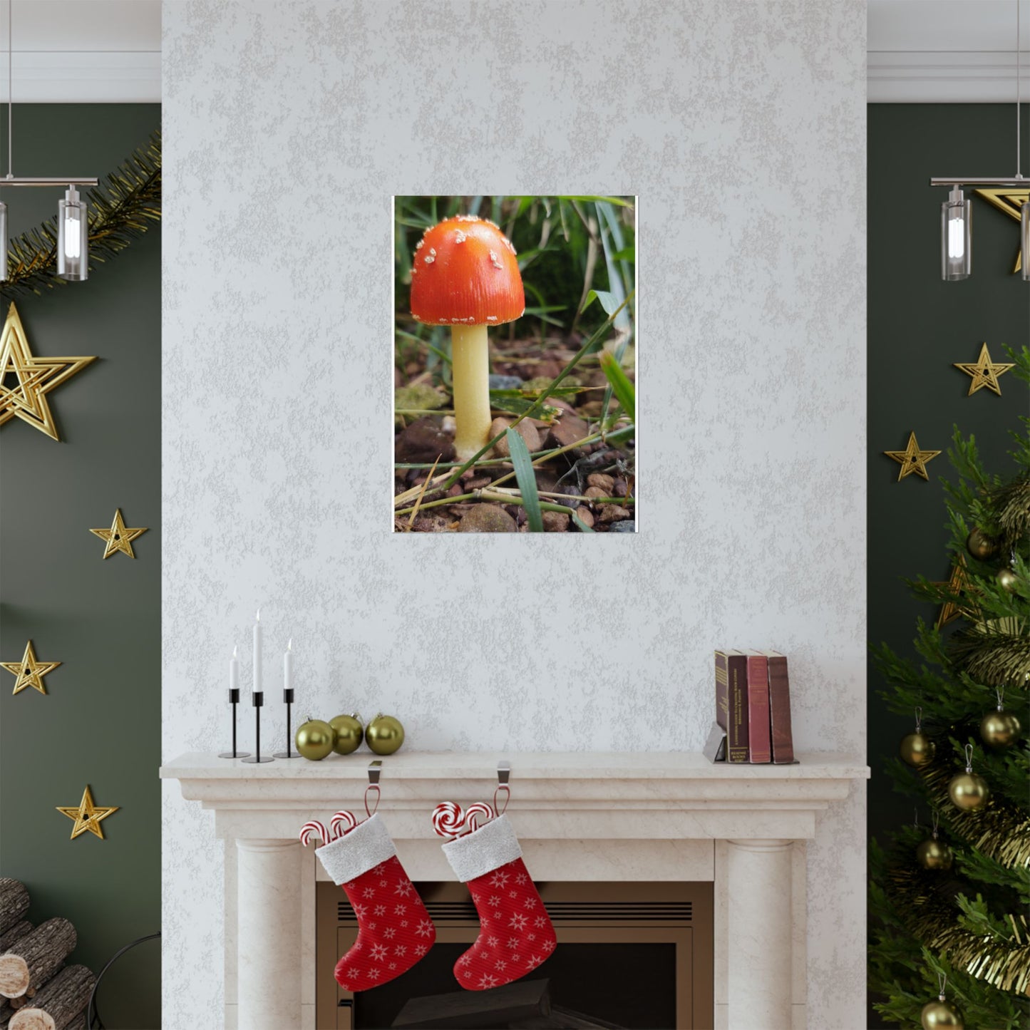 Amanita Muscaria (Fly Agaric) Poster