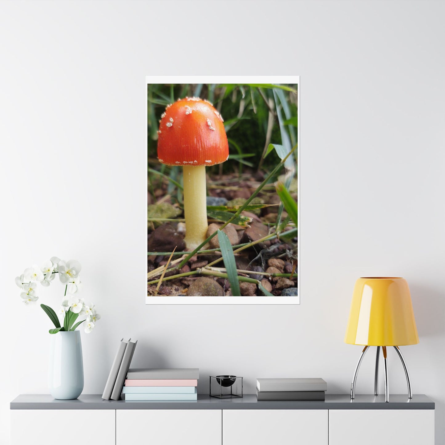 Amanita Muscaria (Fly Agaric) Poster