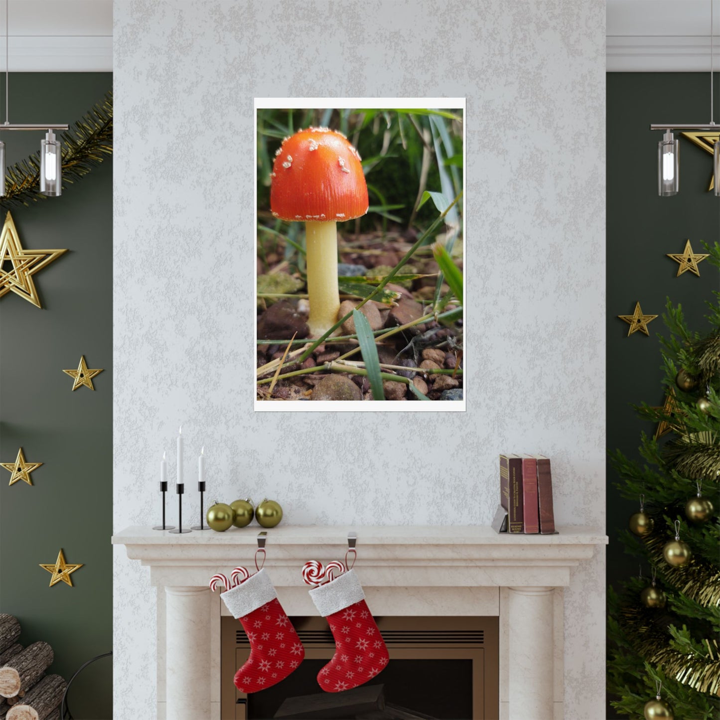 Amanita Muscaria (Fly Agaric) Poster