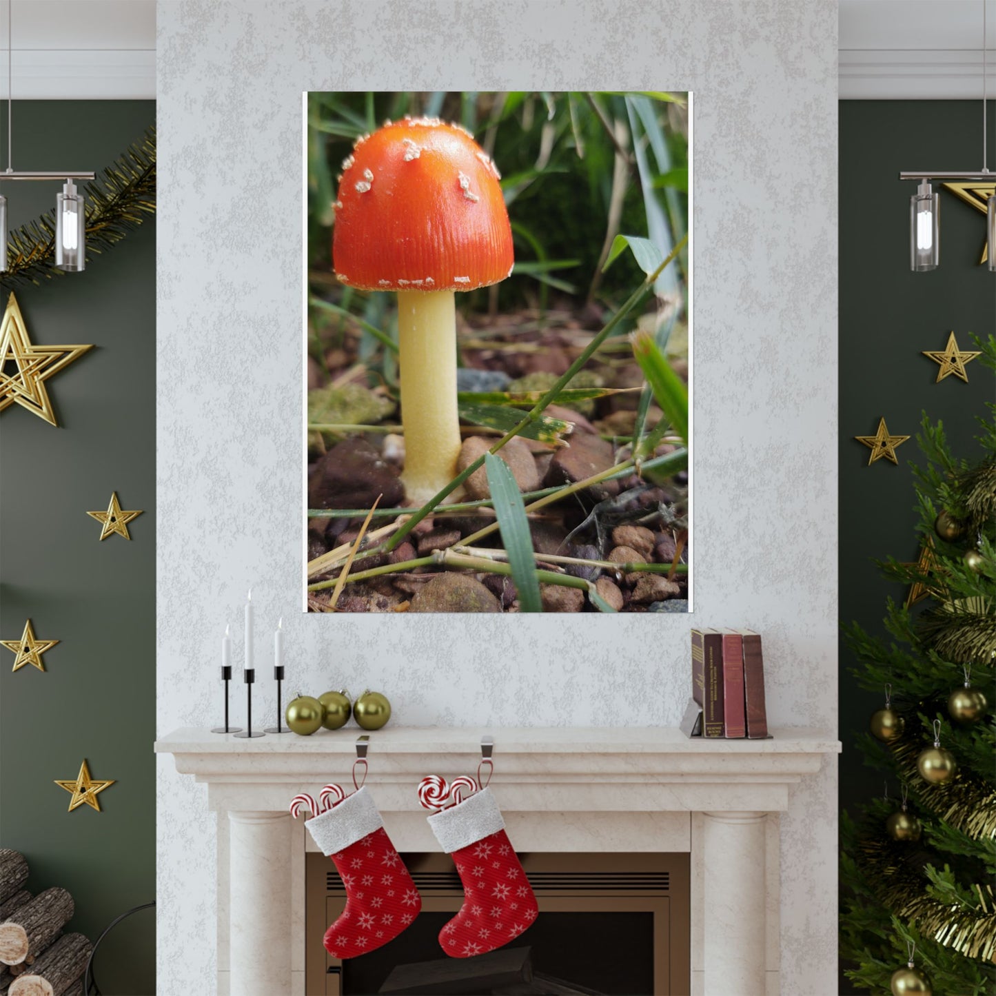 Amanita Muscaria (Fly Agaric) Poster