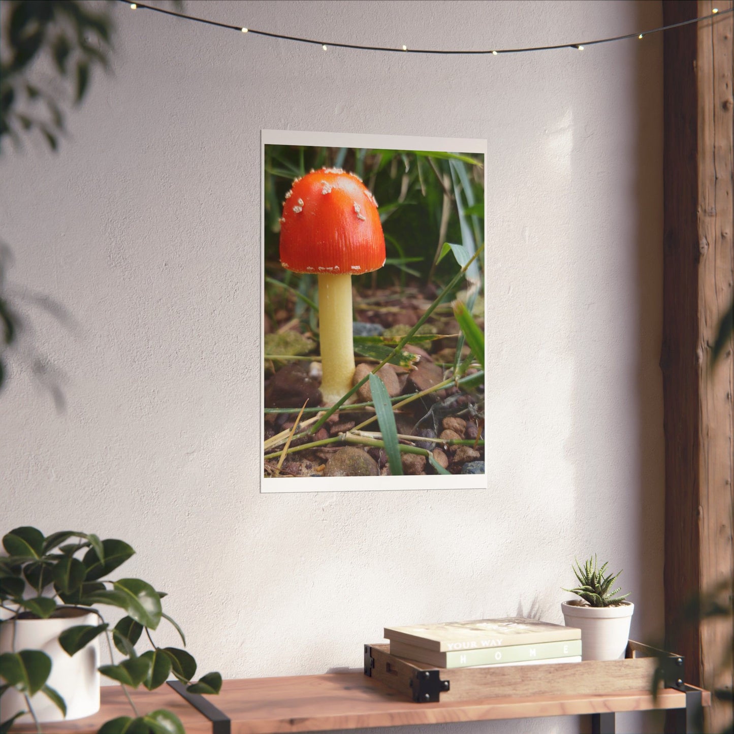 Amanita Muscaria (Fly Agaric) Poster