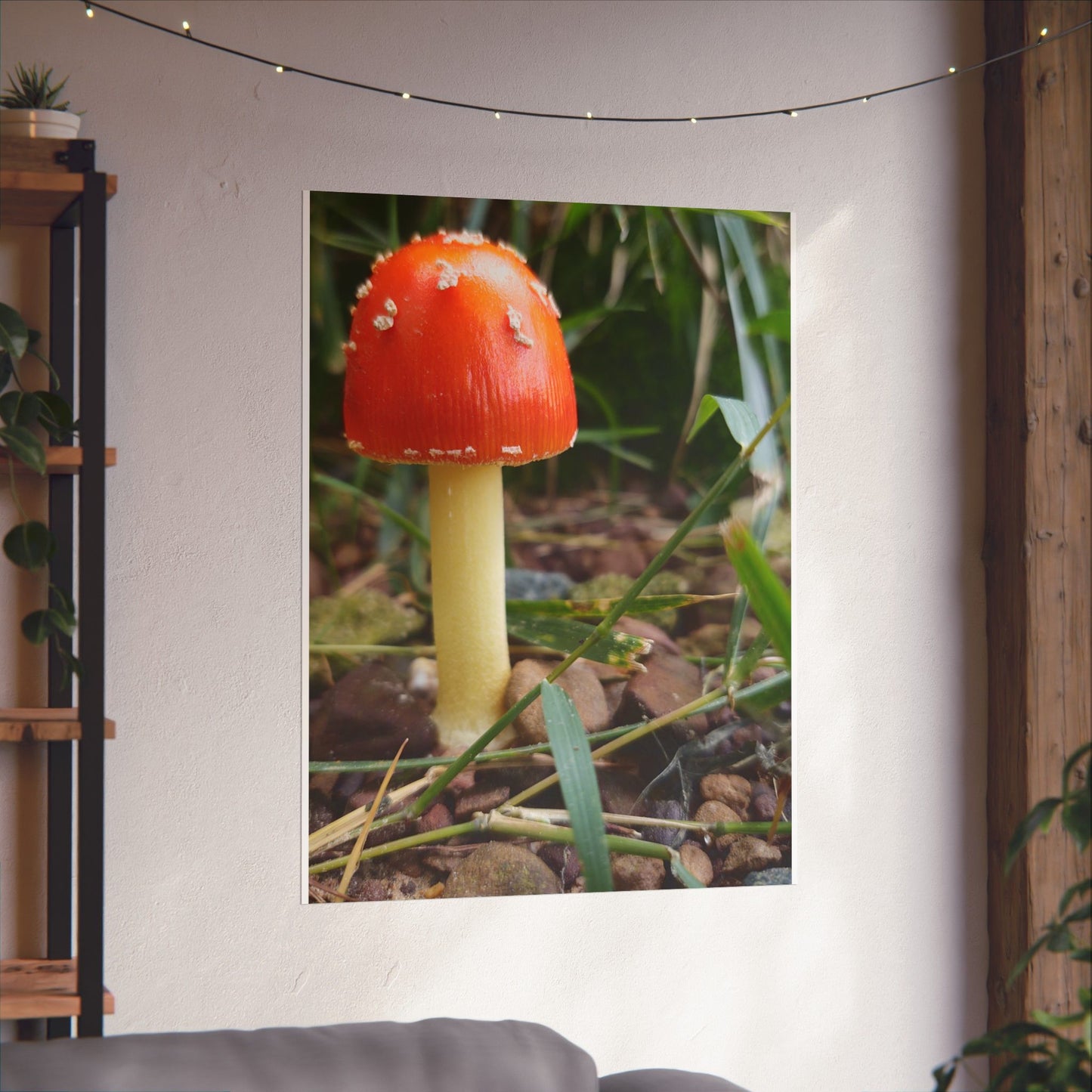 Amanita Muscaria (Fly Agaric) Poster